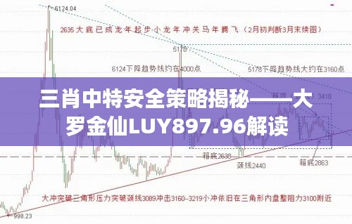 三肖中特安全策略揭秘——大罗金仙LUY897.96解读