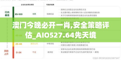 澳门今晚必开一肖,安全策略评估_AIO527.64先天境