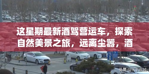 探索自然美景之旅，警惕酒驾，启程寻找内心平静之路