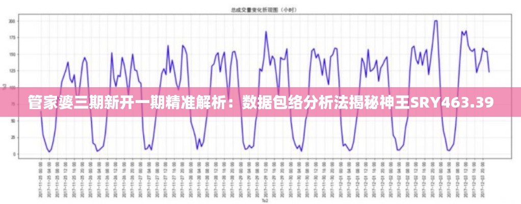 管家婆三期新开一期精准解析：数据包络分析法揭秘神王SRY463.39