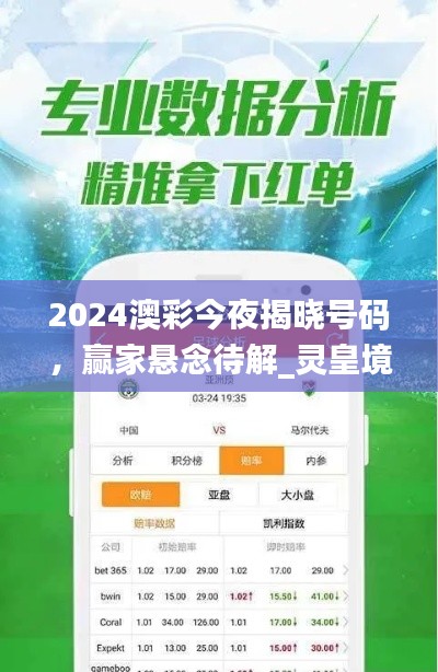 2024澳彩今夜揭晓号码，赢家悬念待解_灵皇境DYM821.09