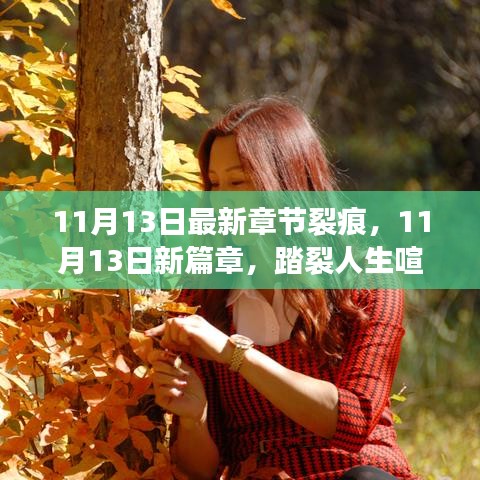 裂痕新篇章，踏裂人生喧嚣，与自然美景共舞奇妙之旅（11月13日最新章节）