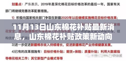 山东棉花补贴政策最新动态解析与观点探讨，11月13日最新消息速递