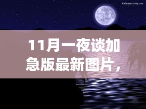 月夜下的温馨故事，最新加急版图片揭秘11月一夜谈新友之夜