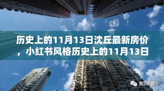 历史上的11月13日沈丘最新房价揭秘，小红书风格呈现