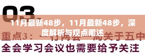 深度解析与观点阐述，最新48步指南（11月版）