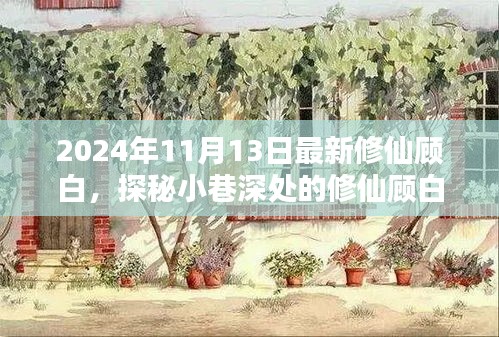 探秘修仙顾白，隐藏小巷深处的神秘修仙小店（2024年11月13日）