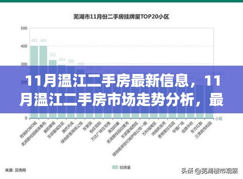 11月温江二手房市场深度解析，最新信息、走势分析与观点碰撞