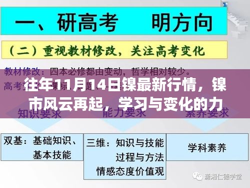 往年11月14日镍市行情深度解析，掌握学习变化之力，解锁未来财富密码