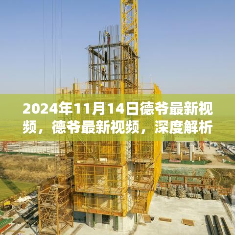 德爷最新视频深度解析与用户体验报告（2024年11月14日）