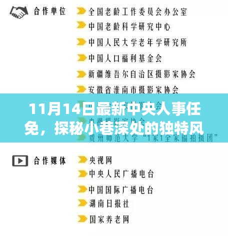 中央人事任免日下的惊喜发现，小巷深处的独特风味