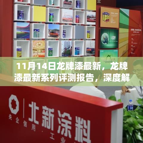 深度评测报告，龙牌漆最新系列产品特性与用户体验解析