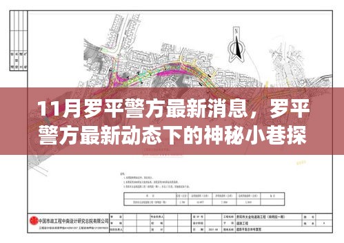 罗平警方最新动态，探秘神秘小巷的特色小店魅力