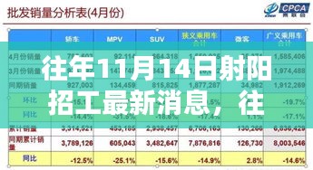 往年11月14日射阳招工最新消息深度探寻与求职平台特性体验评测