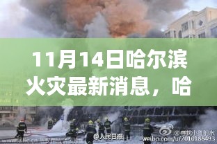 哈尔滨火灾背后的温暖故事，友情、家庭与不屈不挠的陪伴（最新消息11月14日）