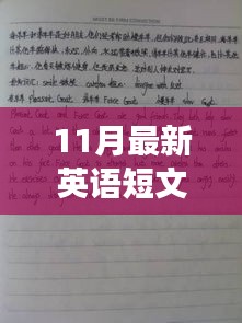 十一月英语短文，背景、事件、影响与时代地位的深度解读