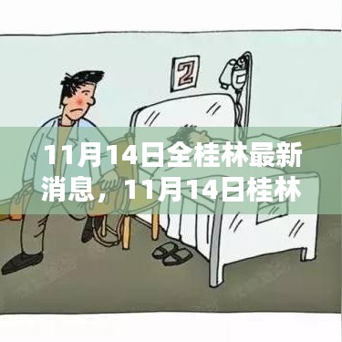 11月14日桂林全貌，最新消息速递与城市动态一网打尽