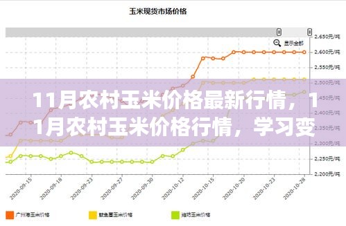 11月农村玉米价格最新动态，行情变化中学习成长，收获自信与成就感