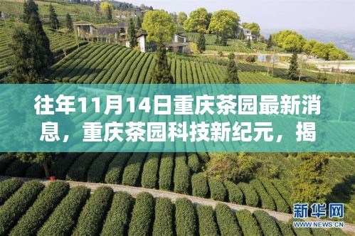 揭秘重庆茶园科技新纪元，高科技产品重塑生活品质的最新动态