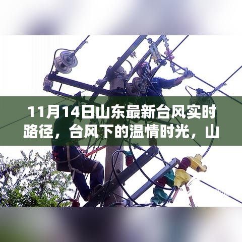 山东台风下的温情时光，家庭与朋友的奇妙旅程实时更新（11月14日）