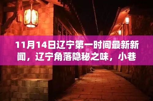 辽宁角落隐秘之味，小巷特色小店探秘记（最新新闻报道）