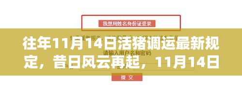 考级报名 第79页