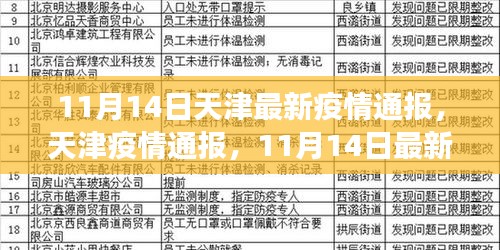 天津疫情最新进展通报，背景揭示与影响分析（11月14日更新）