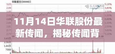 揭秘华联股份传闻真相，最新动态解析指南（适合初学者与进阶用户）