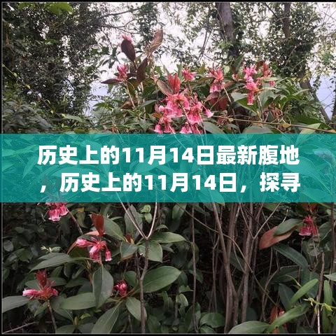 江南烟雨断桥殇 第14页