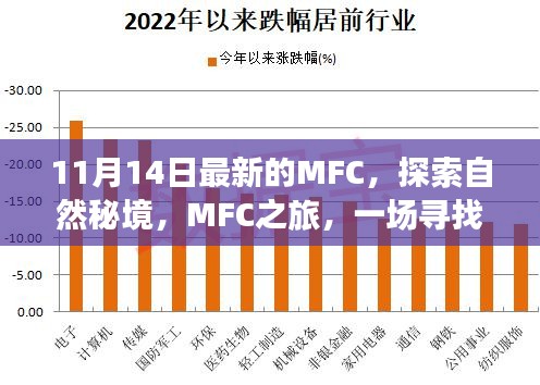 MFC之旅，探索自然秘境，寻找内心平静的奇妙旅程