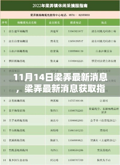 梁弄最新消息获取指南，掌握关键信息的步骤与指南（11月14日更新）