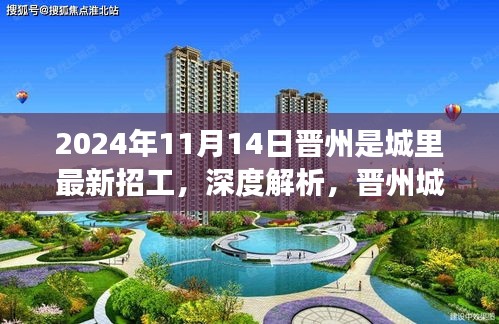 晋州城里最新招工趋势展望与深度体验报告（2024年11月版）