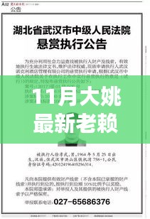 最新指南，揭秘大姚老赖追查全攻略，教你成为追债达人！