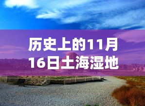 历史上的11月16日与土海湿地公园，探秘公园，揭秘历史与惊喜时刻