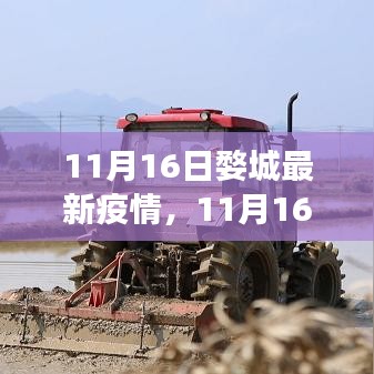 11月16日婺城最新疫情动态，防控进展、生活指南与案例分析