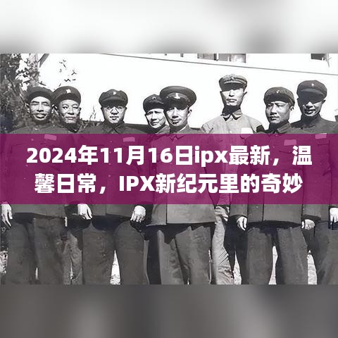 IPX新纪元，奇妙友情与快乐时光的日常（温馨日常，最新资讯）