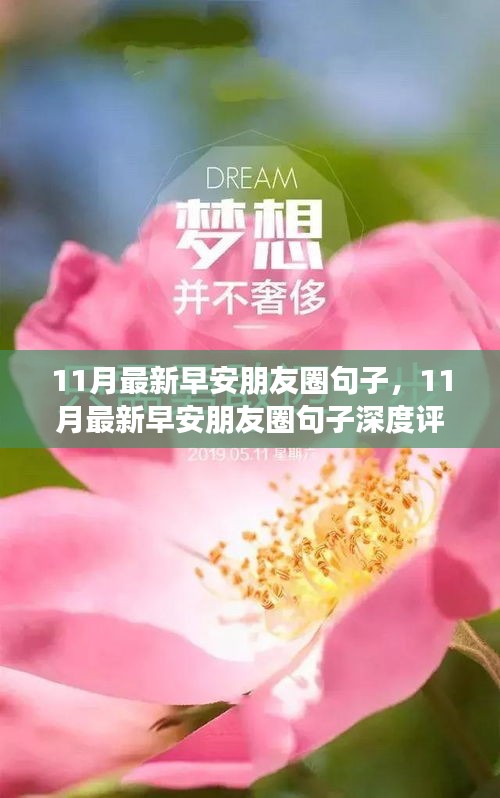 11月最新早安朋友圈句子，深度评测与介绍