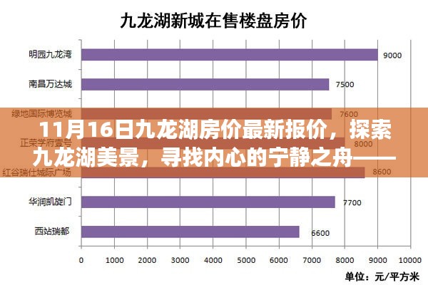 探索九龙湖美景，启程宁静之旅，最新九龙湖房价报价