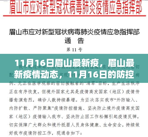 眉山疫情动态更新，11月16日防控进展与民众生活观察