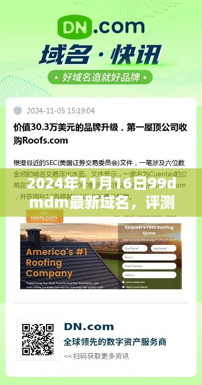 最新域名评测报告，深入解析99dmdm域名