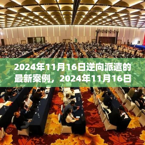 2024年11月16日逆向派遣最新案例研究分析