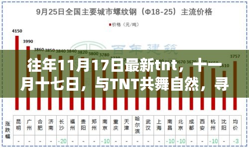 十一月十七日TNT之旅，与自然共舞，探寻宁静港湾的奥秘