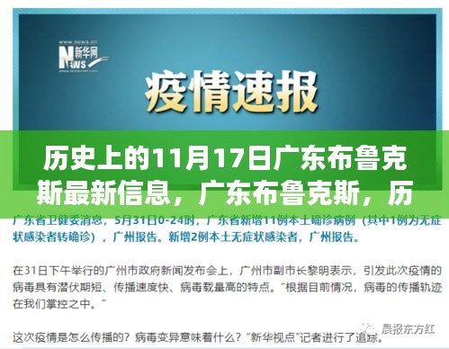 广东布鲁克斯的特殊日期，历史上的变迁与最新视角解读的启示