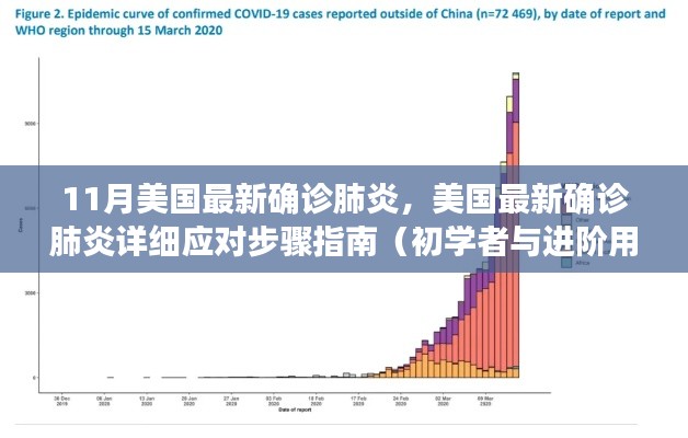 美国最新肺炎确诊指南，从初学者到进阶用户的应对步骤详解