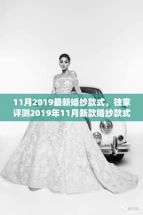 独家解析，2019年秋季新款婚纱款式深度评测与竞品对比，特性、体验与目标用户群体分析