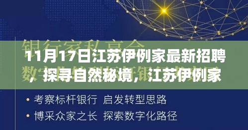 江苏伊例家招聘启程，探寻自然秘境之旅，寻找内心的宁静与平和