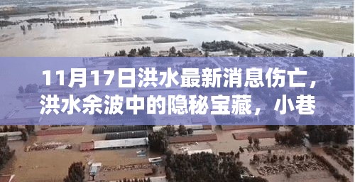 洪水余波中的隐秘宝藏与特色小店最新动态，11月17日洪水最新伤亡消息及特色小店最新动态