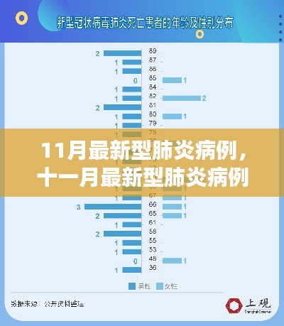 十一月新型肺炎病例深度解析，全面了解你需要知道的一切