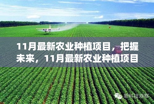 11月农业种植新动向，挑战未来，成就自信与正能量之旅的幽默同行者