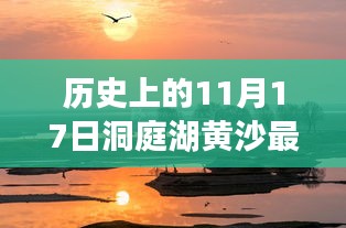 揭秘，历史上的11月17日洞庭湖黄沙最新报价动态